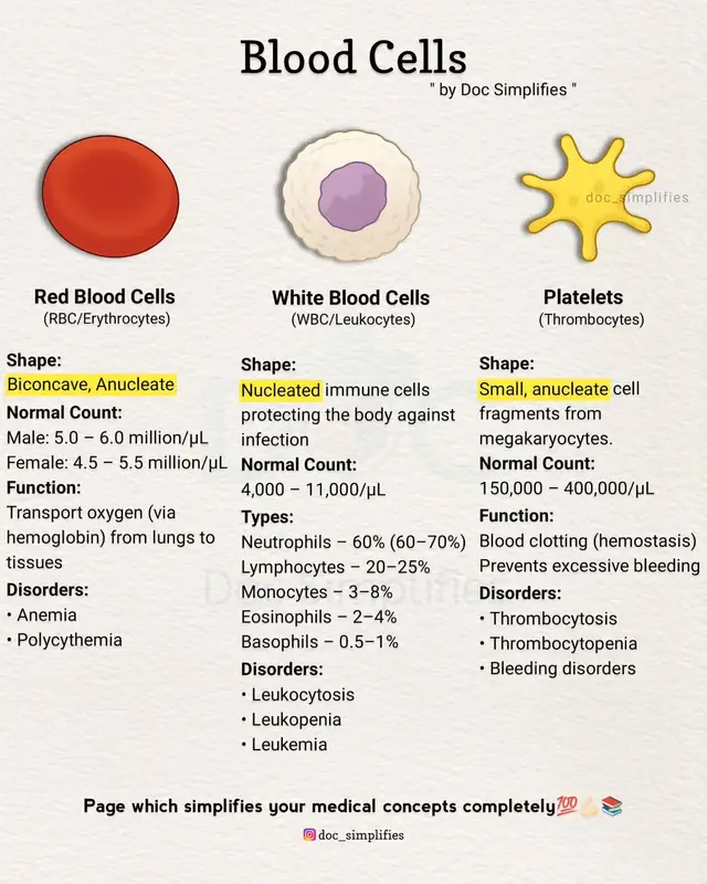 Blood cells are the vital components of our body that ensure life and health. Red Blood Cells (RBC/Erythrocytes) transport oxygen from the lungs to tissues, White Blood Cells (WBC/Leukocytes) strengthen immunity and protect against infections, while Platelets (Thrombocytes) play a crucial role in blood clotting and prevent excessive bleeding. #unfreezemyacount #follower🥺❤️ #viralvideo🔥 #followmyaccount🙏❣️ #followmyaccount🙏❣️ 