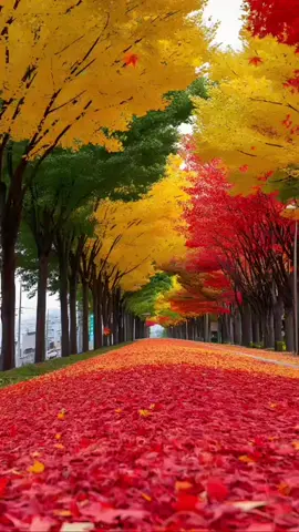 #ইসলামিক_ভিডিও_🤲🕋🤲 #সবাই_একটু_সাপোর্ট_করবেন_প্লিজ