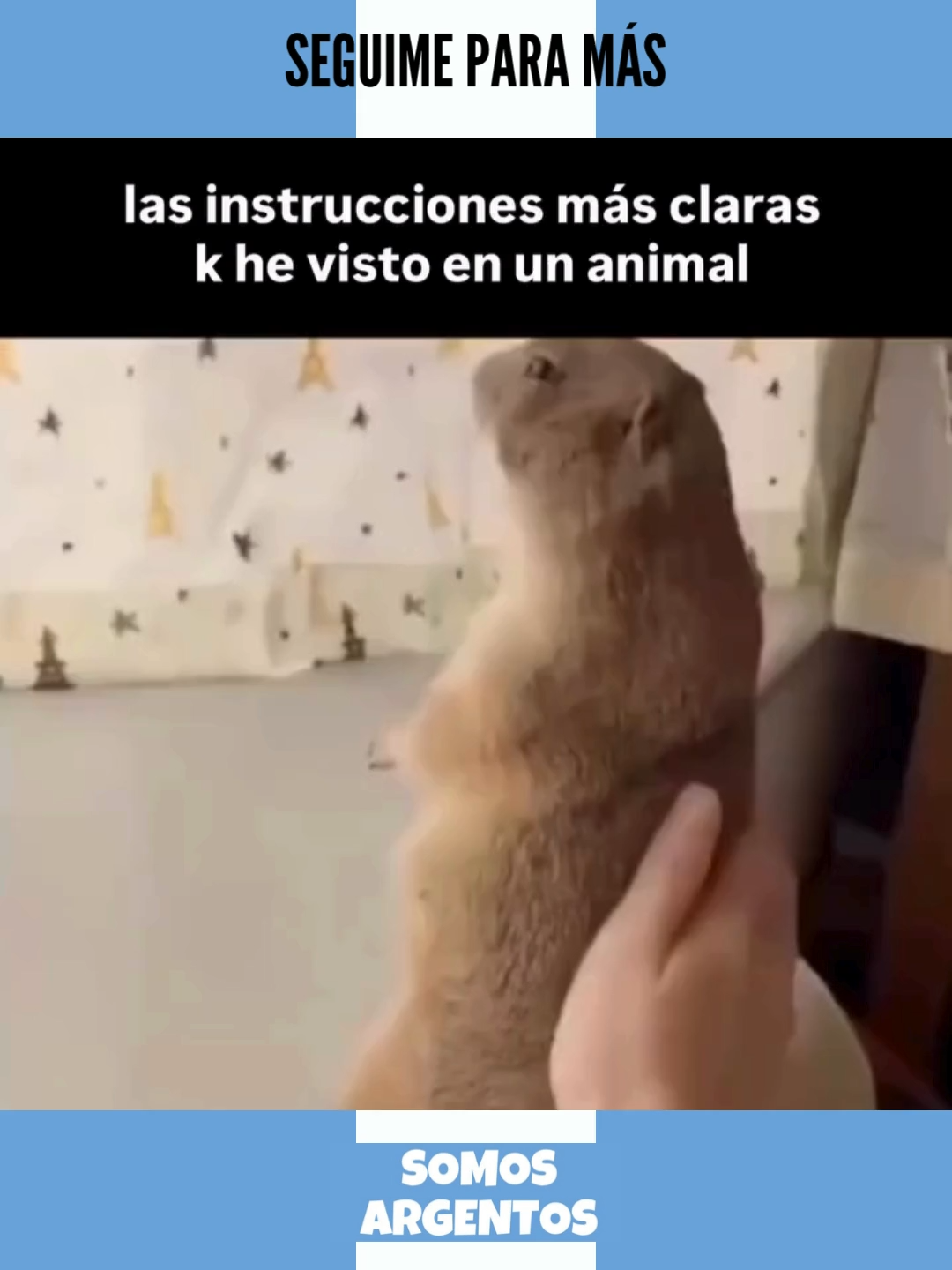 ¡SEGUIME PARA MÁS!