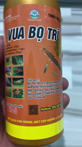 mọi người vào tham khảo #phanbon #thethaomoingay #capcut #thinhhanh 