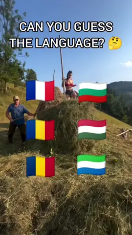 Are you able to guess this language? 🧐🤨 comment if you know @Romania #languages #romania #romania🇷🇴 #românia #romanian 