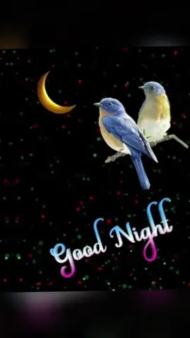 #good night #fyg#fyg#viral video spot me plllllz 💯💯#🌙💫پا گل لڑکی 