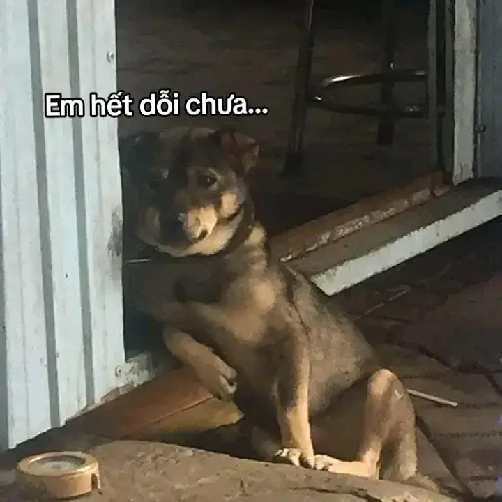 T k biết nên nói gì tiếp theo :))