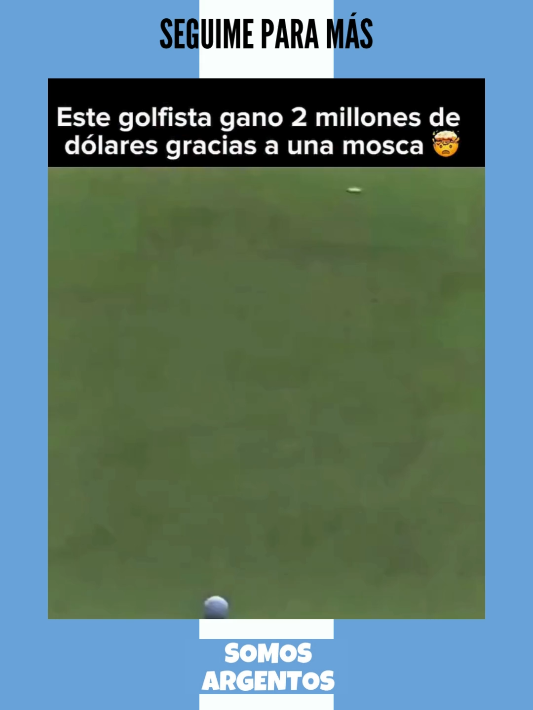 ¡SEGUIME PARA MÁS!