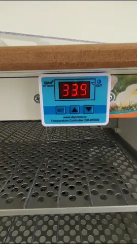 #calibragem de chocadeira eclopinto