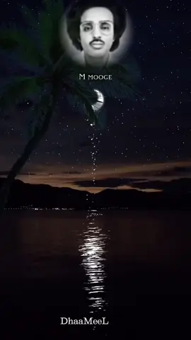 𝚙𝚛𝚝1#somalilayrics🌺😏💎 #kaban #fouryoupage #𝚚𝚊𝚛𝚊𝚊𝚖𝚒