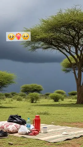 #soomalitiktok2025🇸🇴🇸🇴🇸🇴🇸🇴🇸🇴🇸🇴😍💯 #galmudugnimo💙🤍💚 #hirshabelle💙🤍💚jowhar🌴🌴 #hirshabelle💙🤍💚jowhar🌴🌴 #hirshabelle💙🤍💚jowhar🌴🌴 