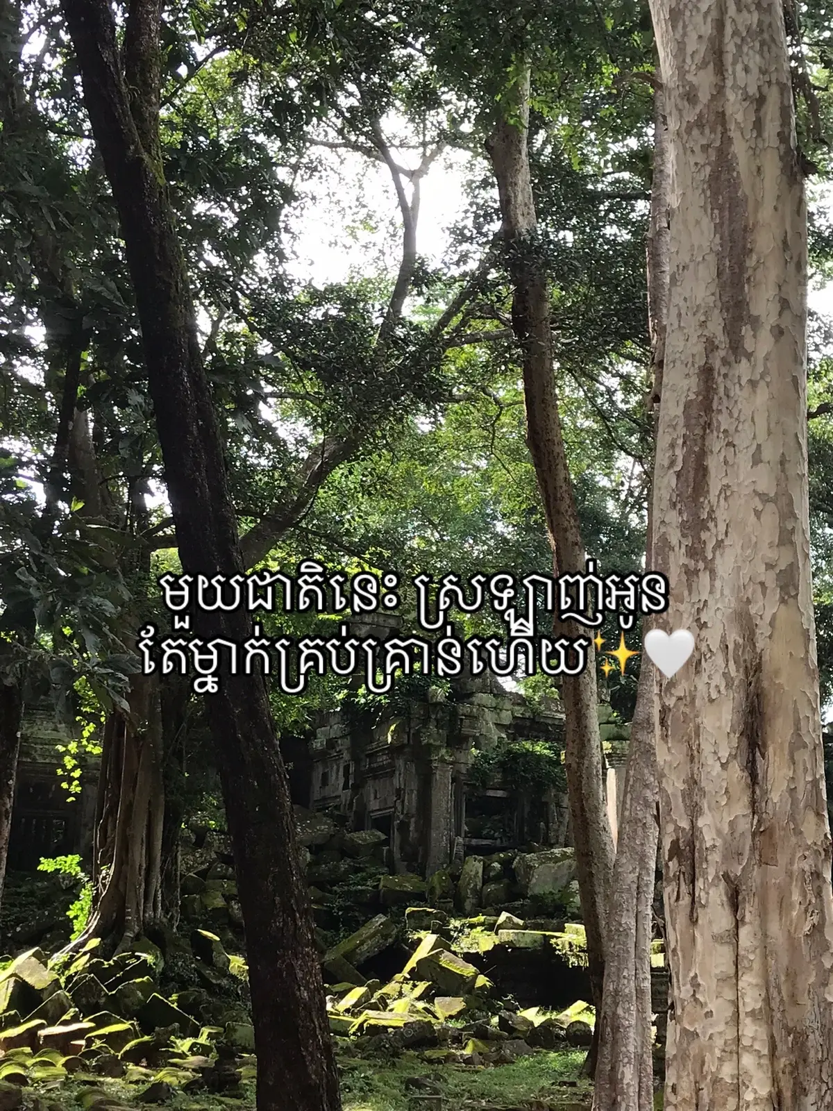 #fypシ゚ #fypシ゚viral #xzybca #នាទីធ្លាក់like💔🙃 