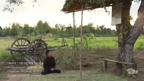 ฟังเพลงนี้คราวใดน้ำตาไหลทุกครั้ง🥹 #เล่าสู่หลานฟัง #มนต์แคนแก่นคูน #ศิลปินคนโปรด 