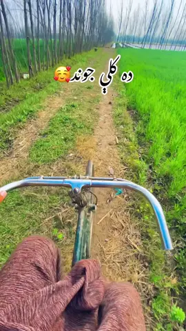 Da kali jwnd ❤️ #foryoupage #foryou #charsaddacity #charsadda #kaly @🧢Hayatiii culture💞 @Hayatiii Culture 2nd Account 