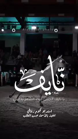 شيلة باسم نايف 2026 شيلة مدح نايف #استديو_نجوم_زفافي #لطلب_الشيلات_0505336824 #السعودية #الكويت #قطر  #تصميم_فيديوهات🎶🎤🎬تصميمي🔥 #تصميم_اسماء_حسب_الطلب #شيلة_باسم_نايف #شيلة_نايف #نايف 