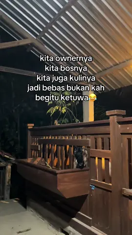 semangat terus pokok e#peternakmuda #peternakindonesia #kambing #xybca #fypシ゚ 