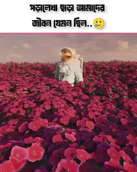 পড়ালেখা ছাড়া আমাদের জীবন যেমন ছিল,,,#foryou #foryoupage❤️❤️ #trending #fypシ゚ 