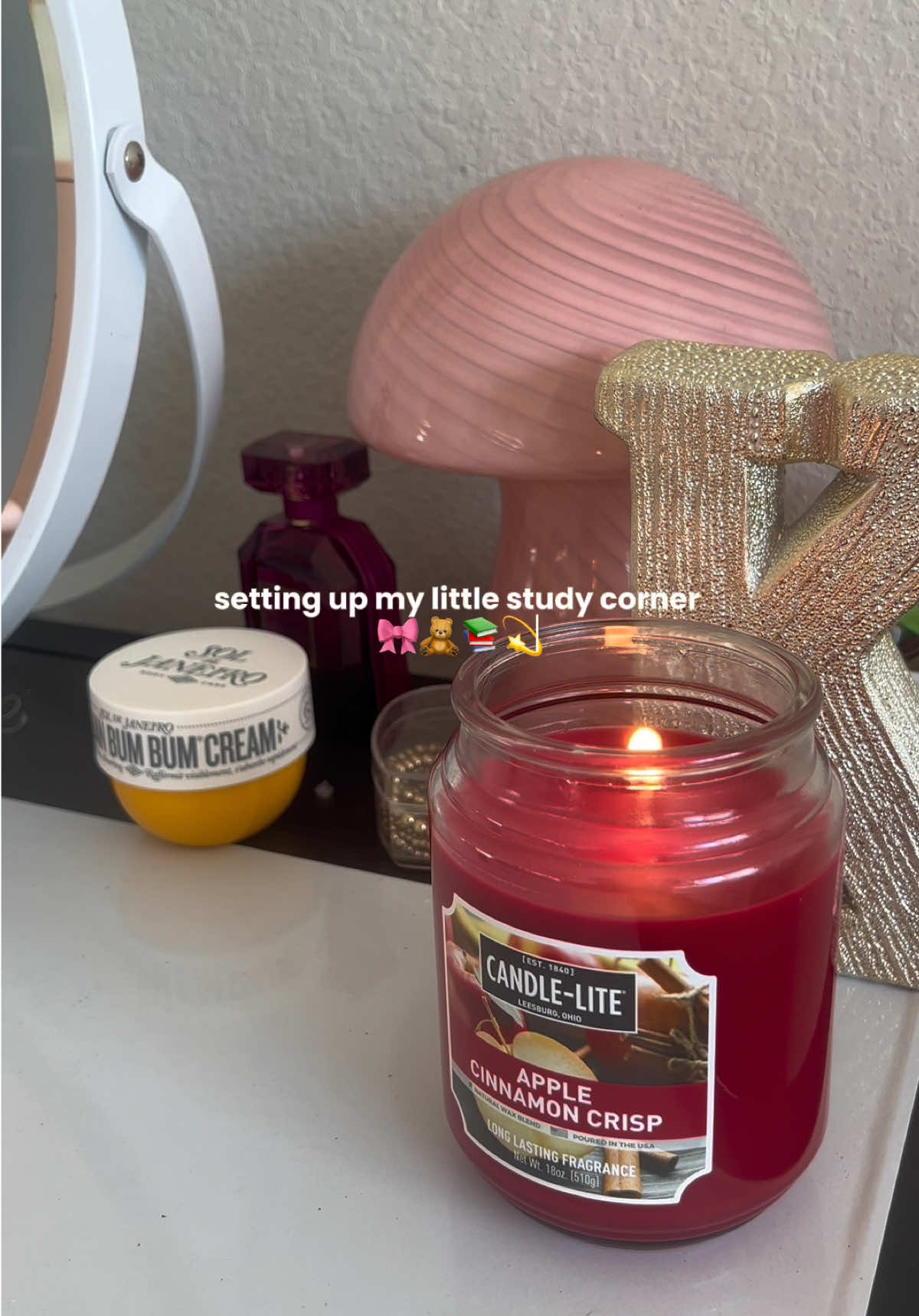 this and a pumpkin spice iced coffee pls 🧸🍂✨ #studywithme #studymotivation #desksetup #collegelife #studywithme 