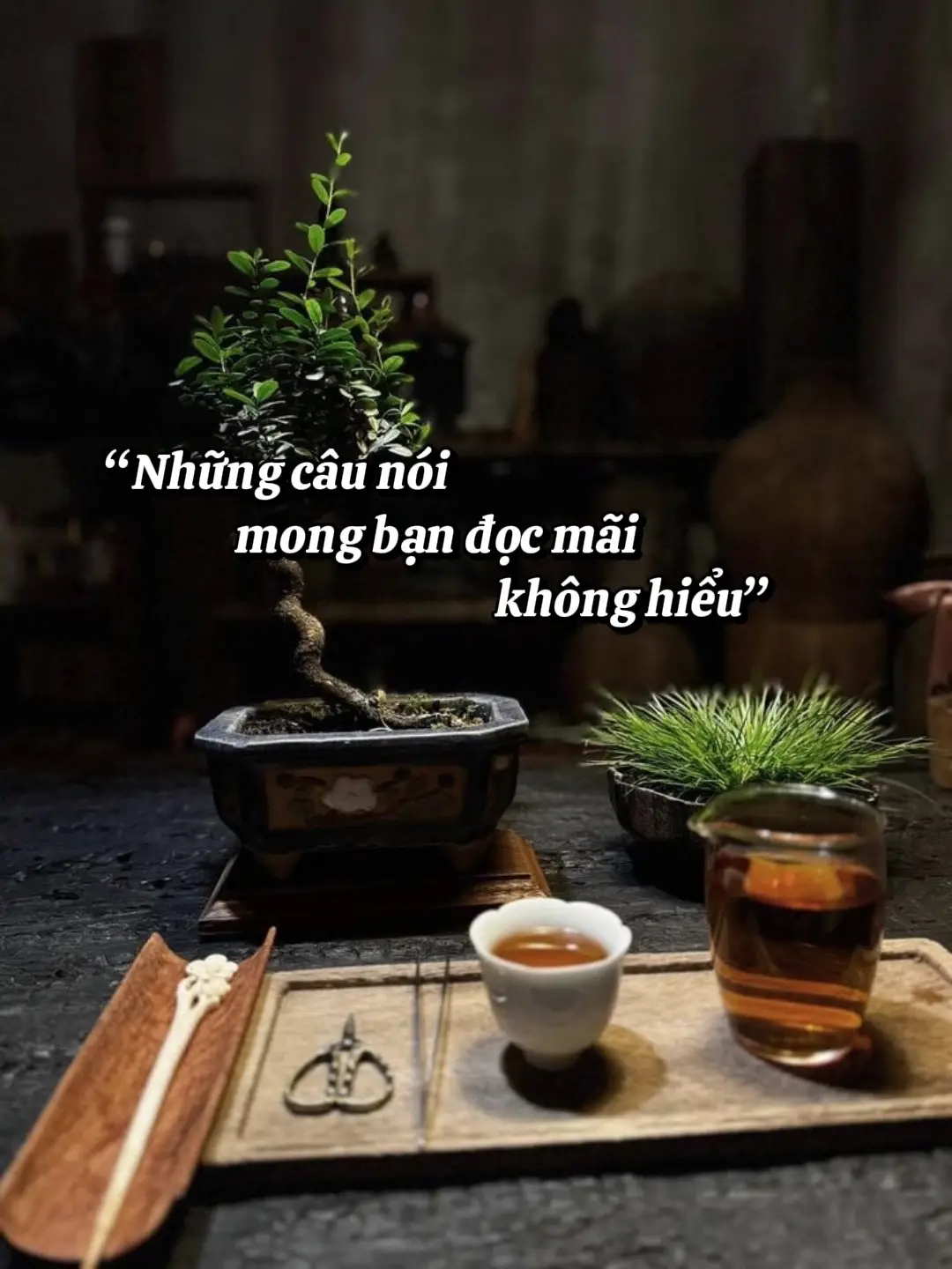 Chiếc áo mà bạn thích nhất, sẽ là chiếc nhanh cũ nhất trong tủ quần áo. #captiontamtrang #caunoihay #xuhuong #sttbuon #thinhhanh 