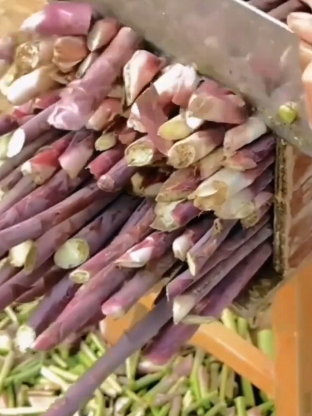 Pernah nampak asparagus ungu yang sedap dan cantik ni? #Asparagus #BenihAsparagus #AsparagusUngu #Benih
