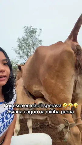 🤣🤣🤣🤣🤣