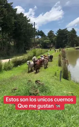 #LIVEIncentiveProgram #SideHustleLIVE #PaidPartnership 