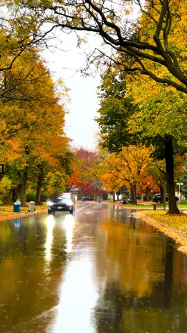 #creatorsearchinsights #autumn #autumnvibes #canada_life🇨🇦 #travelcanada 