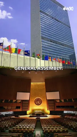 Several Western countries have recognized a Palestinian state at the UN General Assembly. Recognition without disarmament and without reform risks creating a violent failed state. A Palestinian state must come through a responsible two-state solution. Not premature recognition.