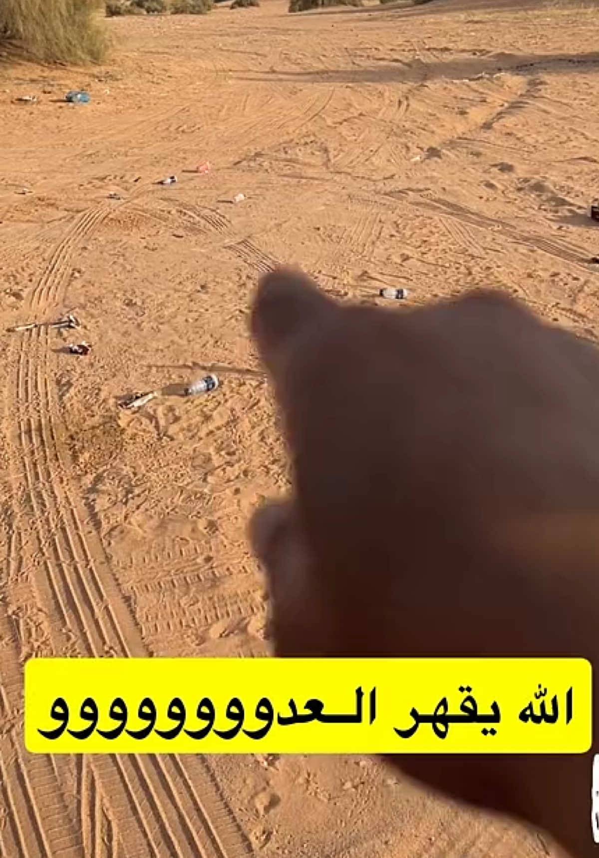 #مكشات #الشتاء 