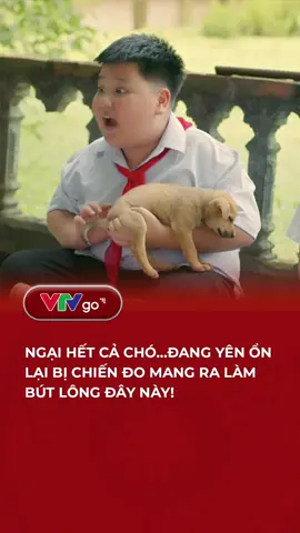 Ngại hết cả chó #cachem1milimet #VFC #VTVgo #phimvtv #trending