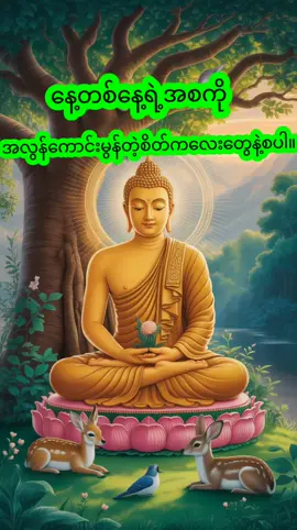 #creatorsearchinsights #ဓမ္မမိတ်ဆွေအပေါင်းသူတော်ကောင်းတို့🌹🌹🌹 #တရားတော်နာယူနိုင်ကြပါစေ #တရားတော်များ #သစ္စာရွှေစည်ဆရာတော်အရှင်ဥတ္တမ၏တရားတော် 