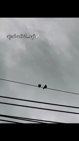 စိတ်အေးလက်အေး ပျော်ပါ။ ဒီတစ်ခါ.. ငါ့ကိုငါ ပြန်ရွေးသွားပြီမို့.. ရှေ့ဆက် ငါမပါဝင်တော့တဲ့နေ့ရက်တွေကြီး သက်သက်မို့.. congratulation ပါနော်။(ဂုဏ်ယူပါတယ်) ငါနေတတ်သွားတဲ့အခါ (မင်းကိုမင်းခွင့်လွှတ်ပါ)။ ငါတိတ်ဆိတ်သွားတဲ့အခါ (မင်းကိုမင်း နားလည်ပါ)။ သဲကြီးမဲကြီး လိုက်ရှာရင်း... အဆုံးမှာ ငါ့ကိုငါပဲပြန်ရှာတွေ့သွားတယ်။ ဒီတစ်တခါတော့. ငါ့ကိုငါ ပြန်ချစ်ကြည့်မယ်..နော်။ ငါ့ကိုငါ ပြန်ဂရုစိုက်ကြည့်မယ် ငါ့ကိုငါ အချိန်တွေပြန်ပေးမယ်။ ထောက်လက်စဒူးတွေ ပြန်မတ်လိုက်မယ်။ ရှေ့လျှောက်... စကားတွေလိုတာထက်ပိုမပြောတော့မှာမို့.. မေတ္တာတွေ လိုတာထက်ပိုမပေးတော့မှာမို့.. လမ်းတွေ့တောင် မျက်နှာလွှဲပေးပါ။ ဘဝမှာ.. မတွေ့ဖူးလောက်အောင် ပျော့ညံ့စျေးပေါသူဖြစ်ဖူးသလို... ဘယ်သူမှ မမြင်ဖူးလောက်အောင် ပြတ်သားစျေးကြီး လွန်းသူလည်း ဖြစ်ကြည့်ချင်တယ်။ ........... ချစ်စိတ်...သည်းခံစိတ်.. ပျော့ညံ့စိတ်..စောင့်မျှော်စိတ် လိုချင်တပ်မက်စိတ်တွေဟာ.. Expire date(အချိန်အကန့်သတ်) ရှိတယ်။ #Crd#feelings#foryou#fyp 