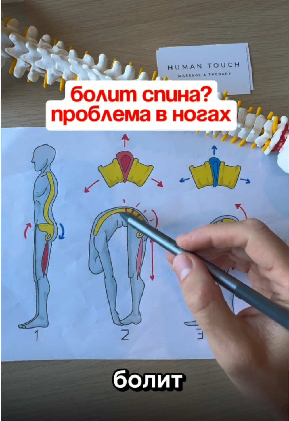 Болит спина при наклоне? Часто причина в том, что не растянута задняя поверхность бедра и малоподвижный тазобедренный сустав. Тогда вся нагрузка идёт в поясницу. Решение простое: растягивай бёдра — береги спину. #миопрессура #массаж #триггеры #грыжа #болитспина