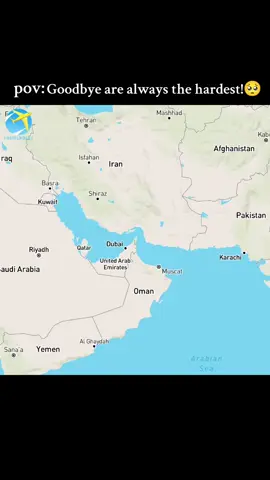 Pakistan to Saudia Arabia #pakistan #saudiarabia🇸🇦 #pardes #airplane #content 