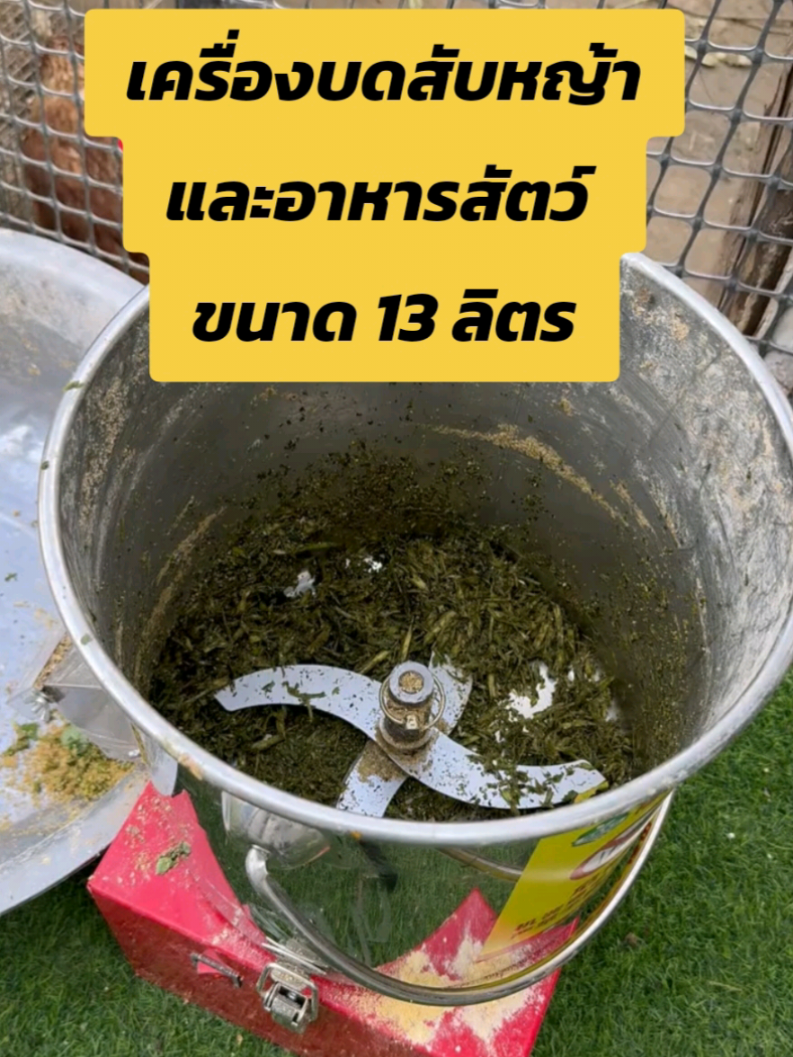 เครื่องบดสับหญ้าและอาหารสัตว์ขนาด 13 ลิตร 1000w #เครื่องบดสับหญ้าและอาหารสัตว์ #เครื่องบดอาหารสัตว์ #เครื่องบดหญ้า #เครื่องสับหญ้า 