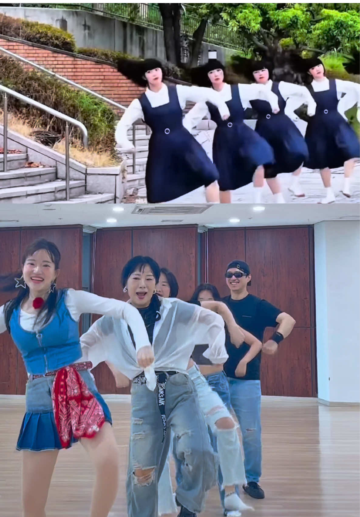 #palomablanca #unapalomablanca #tiktok #세종시 #열정티비 