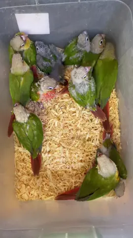 #fyp #fyppppppppppppppppppppppp #fypage 