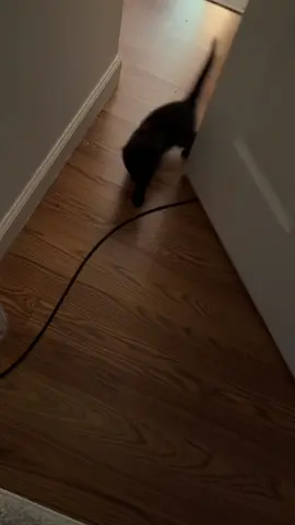 Back at it again :) #Vlog #dayinmylife #Valorant