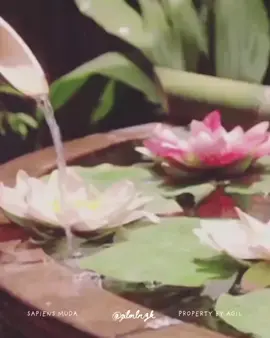 Pernyataan tersebut dapat dibaca sebagai kritik dari sudut pandang STEM sekular (sains, teknologi, engineering, dan matematika dalam kerangka non-religius) terhadap cara masyarakat memberi makna pada kesehatan dan kesembuhan. STEM sekular menekankan bahwa pengobatan modern lahir bukan dari wahyu atau doa, melainkan dari proses panjang berbasis bukti: eksperimen, kesalahan, koreksi, dan penemuan yang akhirnya menghasilkan vaksin, antibiotik, pembedahan modern, hingga teknologi pencitraan medis. Namun, banyak masyarakat masih cenderung memberi kredit utama pada dimensi supranatural, seakan kesembuhan adalah hadiah dari langit, sementara peran dokter, peneliti, dan sains hanya sekadar perantara. Dari perspektif sekular, sikap ini dianggap mengaburkan kontribusi nyata dari ilmu pengetahuan serta menunda perkembangan budaya apresiasi terhadap riset ilmiah. Oleh karena itu, pendekatan STEM sekular mendorong masyarakat untuk lebih menghargai kerja ilmuwan dan tenaga medis sebagai fondasi nyata kemajuan manusia, tanpa harus mereduksinya menjadi sekadar instrumen dari kepercayaan religius.