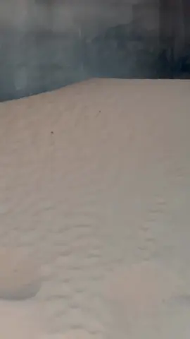 #اكسبلورexplore #صوره_وقصيده #يومياتي 