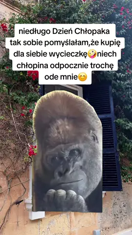 to będzie bardzo dobry pomysł 🤪😂