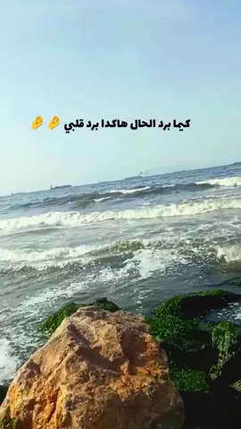 #الشعب_الصيني_ماله_حل😂😂 #الجزائر #السعودية 