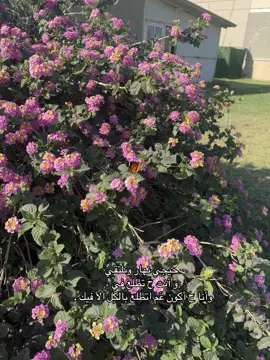 #الشعب_الصيني_ماله_حل😂😂 #اكسبلور #بغداد #تيك #trending 