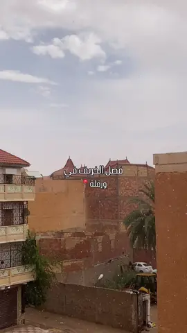 اللهم أحلامنا المنتظرة ودعواتنا المتكررة، وأمنياتنا المخبأة، وراحتنا وتوفيقنا وسعادتنا وطموحاتنا، واجعلها يا رب محققة. #fyppppppppppppppppppppppp #explor #ouargla #rain #rainyday 