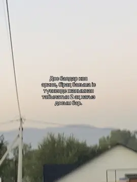 #безхештегов 