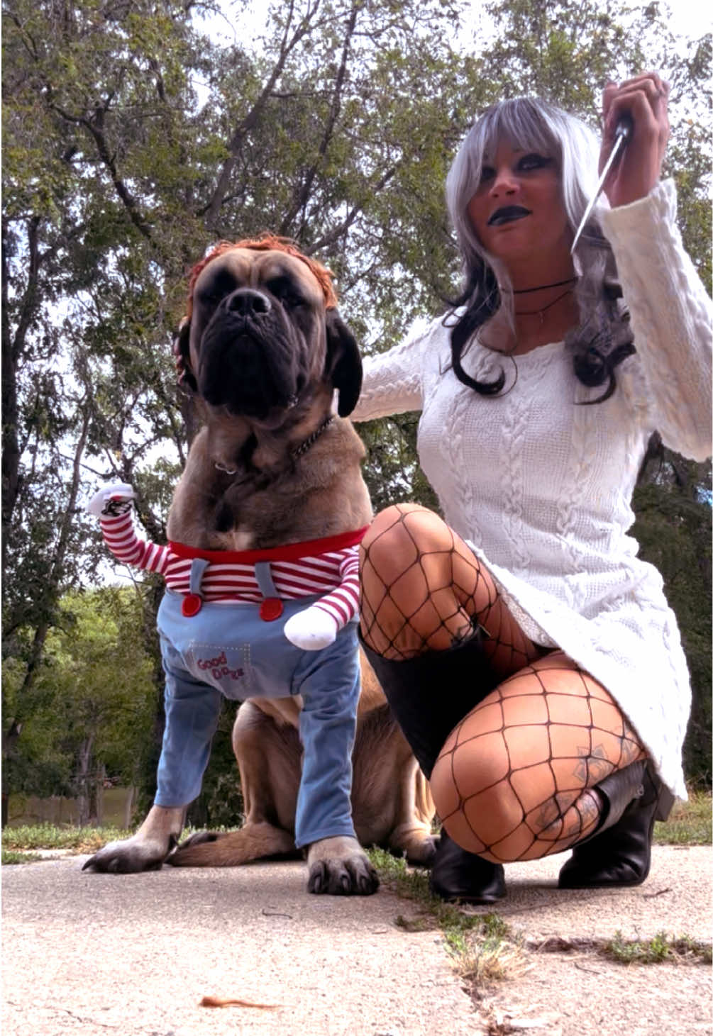 Chucky and Tiffany 🔪🩸 #halloween #dogcostume #brideofchucky #chucky #englishmastiff 