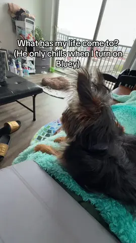 Don’t mind his toys in the background— 