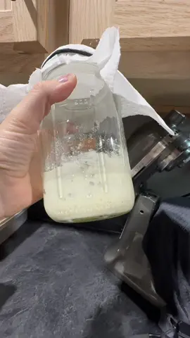 Dehydrated sour dough? Is it worth it? #sourdoughstarter #sourdough #fyp #foryou #momof4 