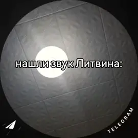 #литвин #видео #рек #fyp #мяу 