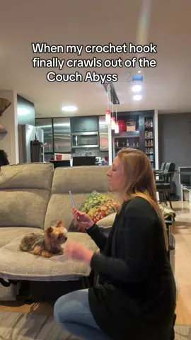 Replying to @azarymelekh Crochet hooks just seem to appear out of nowhere… and when they finally emerge from the Couch Abyss, it feels like a wonderful surprise! 🛋️🪡 If you’ve ever lost (and found) your crochet hook in the strangest places, you’ll totally get this one. ✨ More crochet + Sentro knitting fun on my channel! #C#CrochetHumorC#CrochetTokC#CrochetLifeC#CraftTokRelatableCrochet