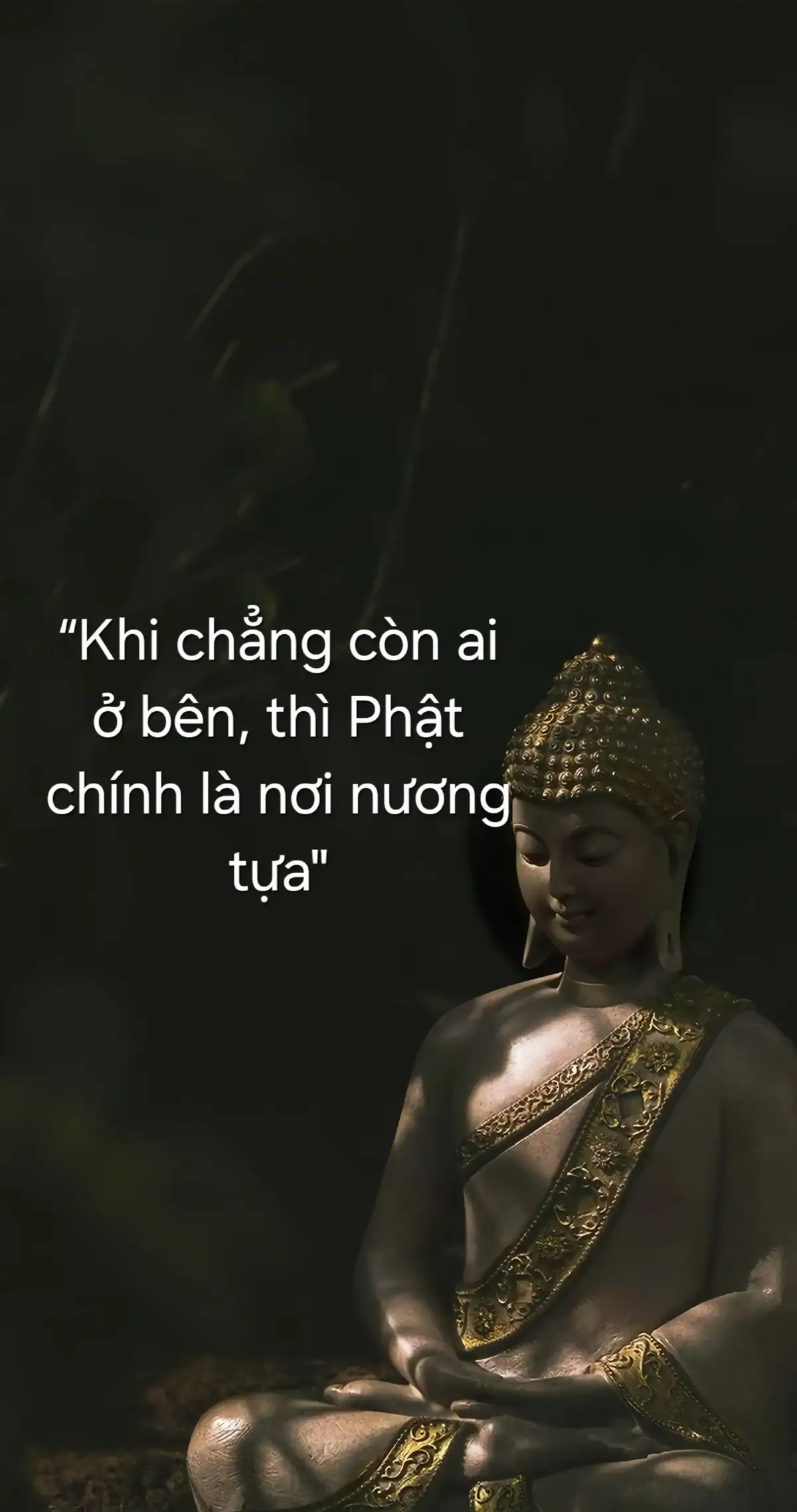 🪷#phatphapnhiemmau #phattaitam #phatday 