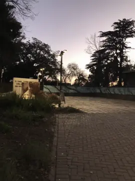 Niño - Milo j 🤍  #miloj  #fypシ゚  #album 