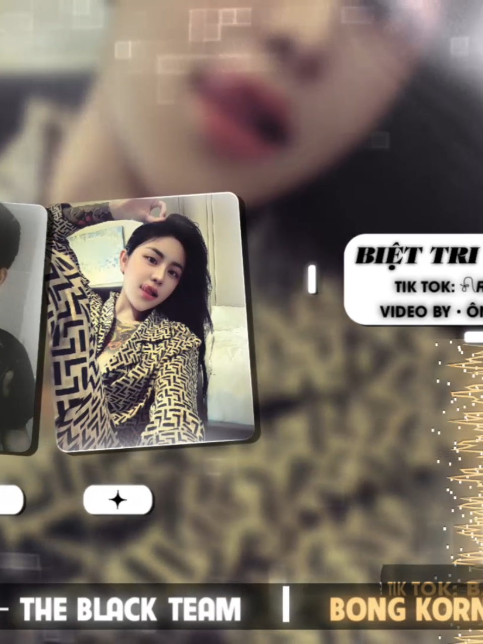 Biệt Tri Kỷ - Remix  #banhmaxdj #remix #nhachaymoingay #nhachottiktok #nhacnaychillphet 