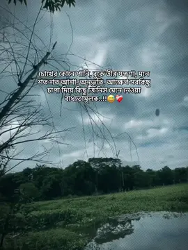 #CapCut চোখের কোনে পানি, বুকে তীব্র যন্ত্রণা, মনে শত শত আশা, অনুভূতি, আক্ষেপ সবকিছু চাপা দিয়ে কিছু জিনিস মেনে নেওয়া বাধ্যতামূলক.! 😅❤️‍🩹#trendingvideo #foryou #foryoupage #viralvideo #tiktok?bangladesh 
